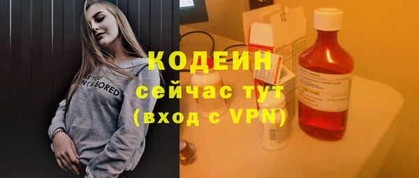 эйфоретик Щигры