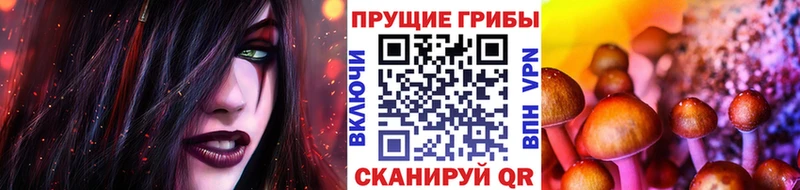 Псилоцибиновые грибы Psilocybine cubensis  Мелеуз 