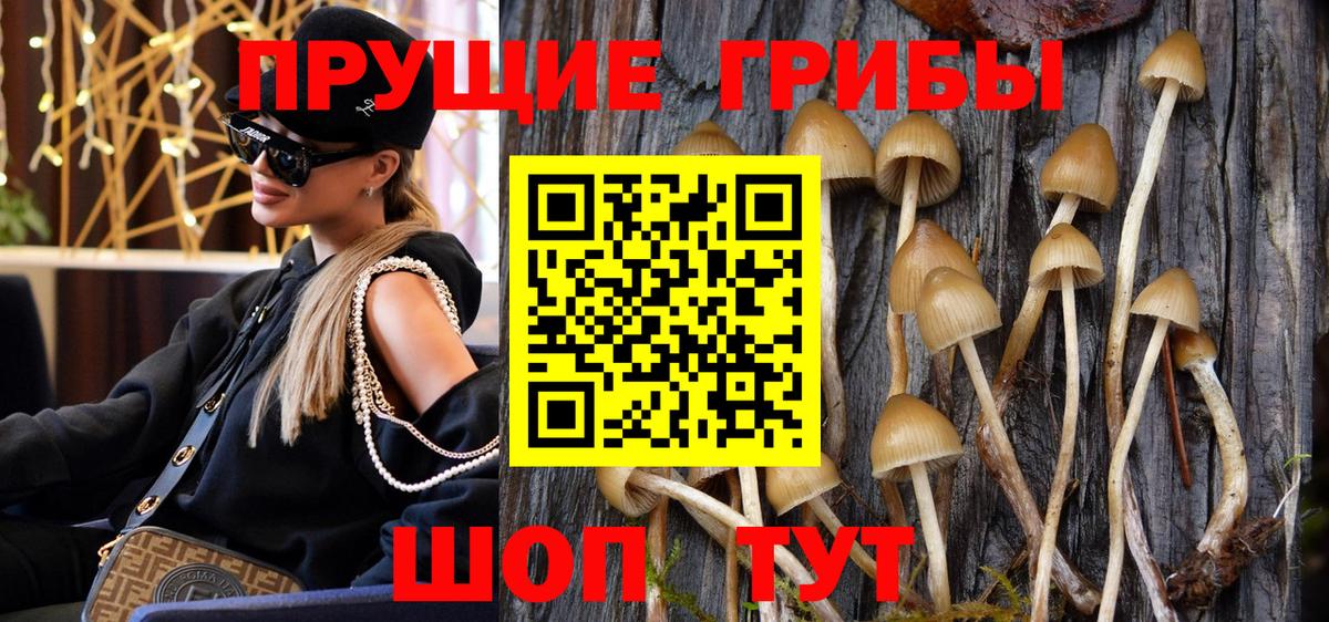 Псилоцибиновые грибы Psilocybine cubensis Мелеуз