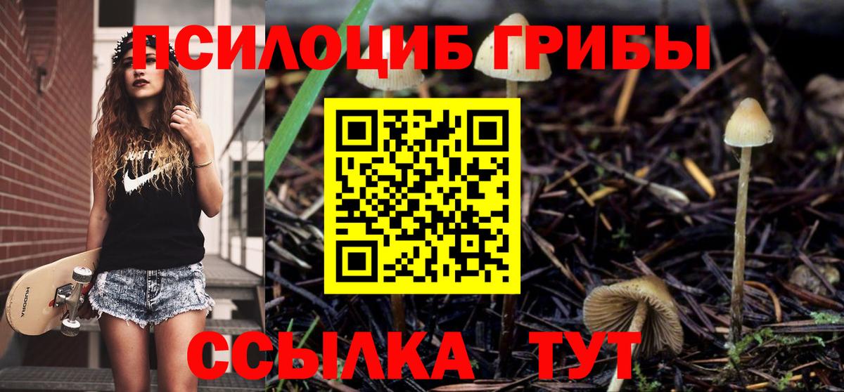 Псилоцибиновые грибы Psilocybe  Вход с VPN  Мелеуз 
