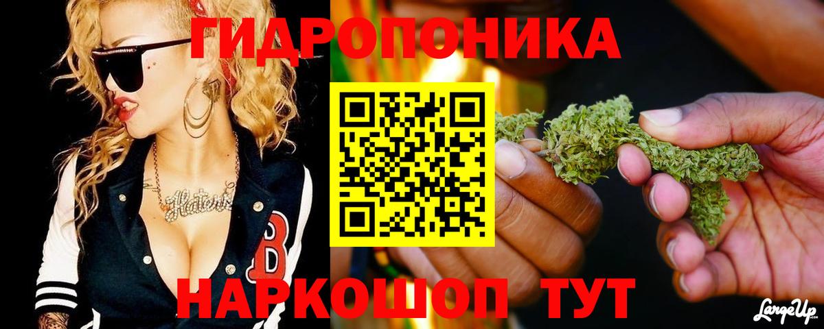 Конопля планчик Мелеуз